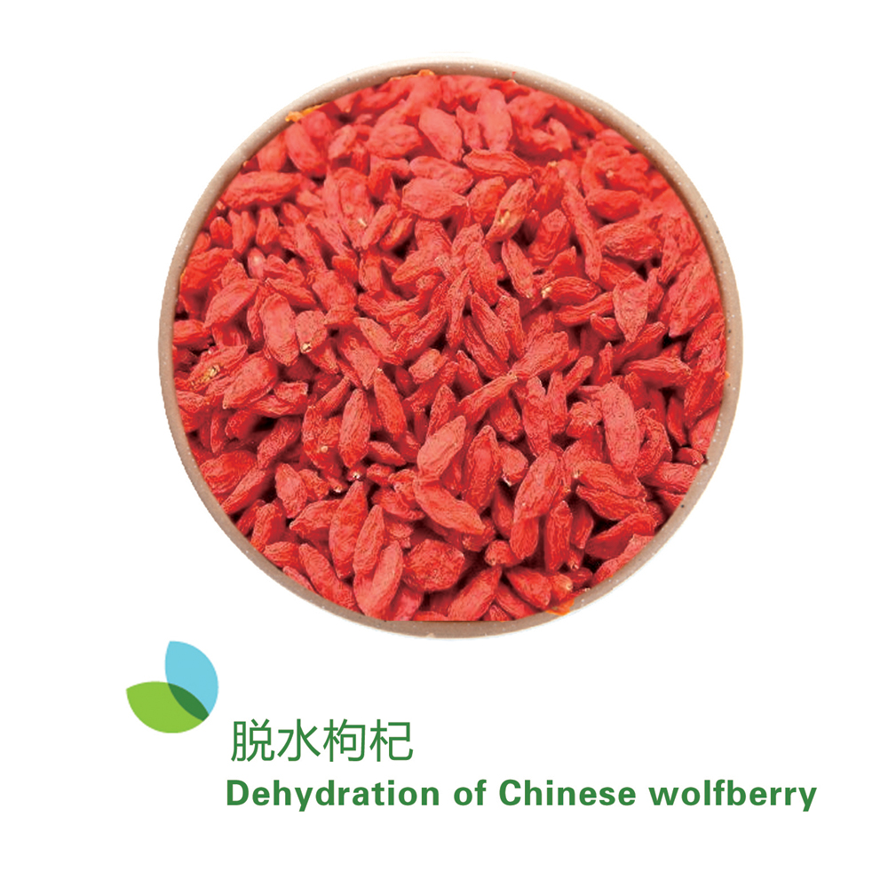 脫水枸杞