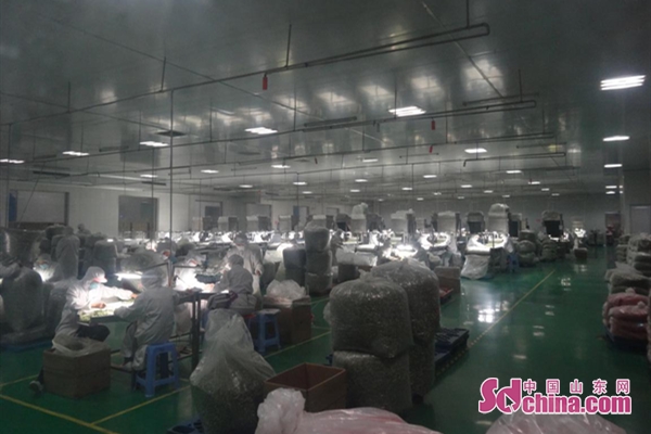 菏澤嘉宏脫水食品有限公司：科學防控疫情 有序復工復產(chǎn)